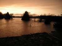 LakeLevelFri.JPG