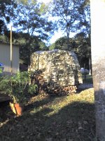 Well Dressed Wood Pile.JPG