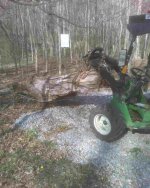 stump removal 3 8 2007 001.jpg