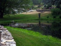 View from bench towards house.jpg