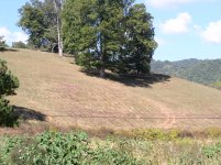 PA070002.JPG