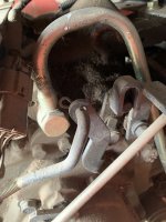 IMG_1931.jpeg