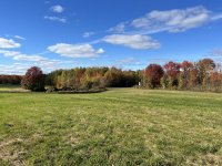 IMG_3504.jpeg