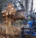 stump using grapple.JPG