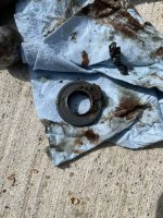 IMG_5033.jpeg