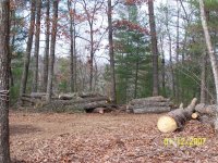 logs.jpg