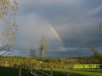 rainbow yard.jpg