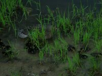 DSCN1877.JPG