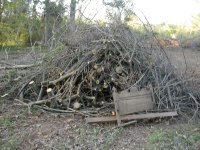 DSCN2078.JPG