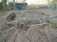 DSCN2079.JPG