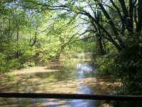 Rain pics 002.jpg