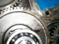 Todays find 004.jpg