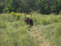 mowing (1).JPG