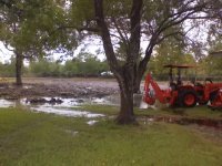 treestractorAug28_0012[1].jpg