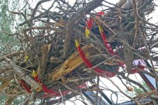 brush-pile-air.jpg