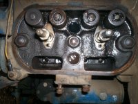 Todays pictures 011.jpg