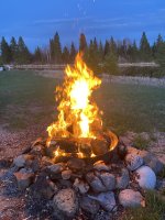 IMG_3287.jpeg