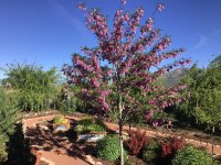 IMG_1364.jpeg