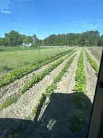IMG_0297[1].JPG