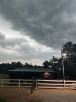 IMG_3595.JPG
