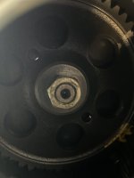 IMG_1184.jpeg
