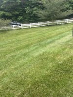 IMG_1269.jpeg