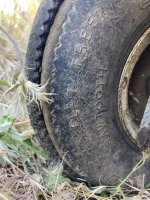 IMG_5610.jpeg