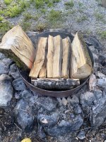 IMG_3425.jpeg