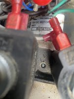 IMG_2992.jpeg