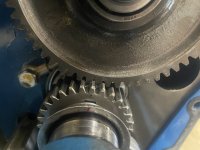 IMG_7727.jpeg