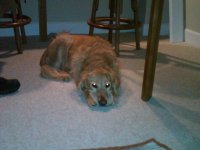 IMG_0004.jpeg