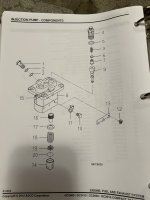IMG_2032.jpeg