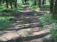 IMG_5903.jpeg