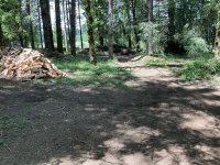 IMG_5904.jpeg