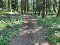 IMG_5905.jpeg