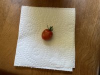 IMG_0285.jpeg