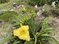 IMG_0287.jpeg