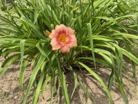 IMG_0288.jpeg