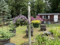 IMG_0290.jpeg