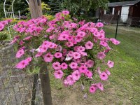 IMG_0291.jpeg