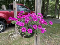 IMG_0292.jpeg