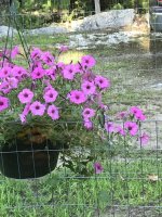 IMG_0847.jpeg
