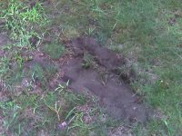 Photo_082006_001.jpg