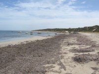 beach4.jpg