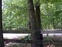 DSCN3504.jpg