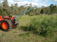 L4400 boom test sapling pulled.jpg