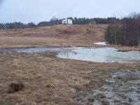 pond005.JPG