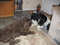 Addie 001.jpg