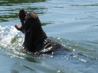 Swimming 019.jpg