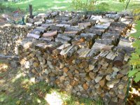 Wood 003.jpg